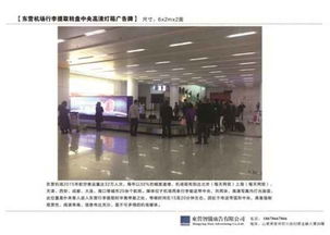 東營市智騰廣告有限責(zé)任公司 全方位的品牌推廣與技術(shù)服務(wù)伙伴