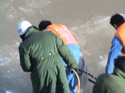 青海潛水技術(shù)服務(wù)中心 西北潛水領(lǐng)域的專業(yè)網(wǎng)絡(luò)技術(shù)服務(wù)先鋒